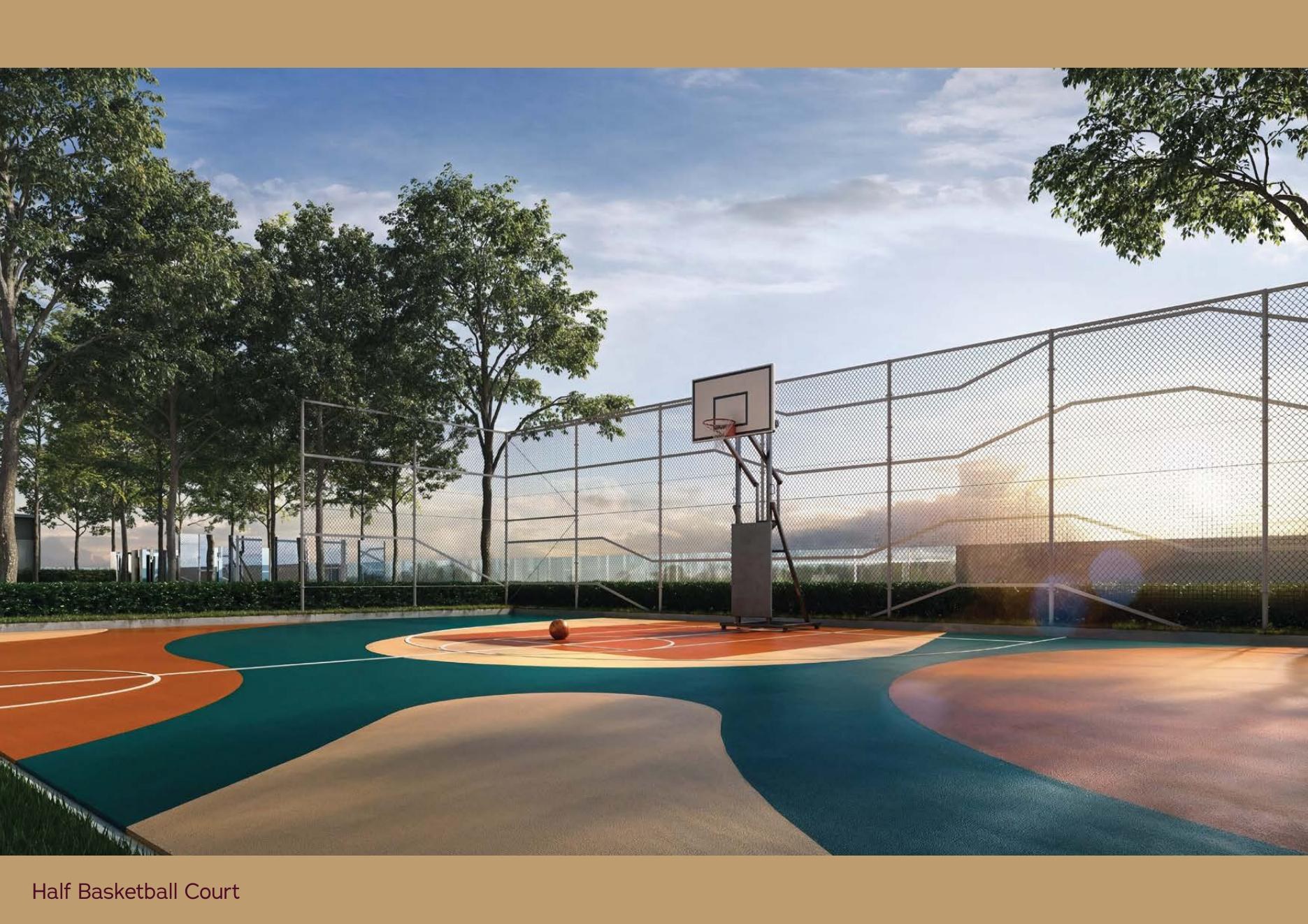 Half basketball court at Binastra Cochrane