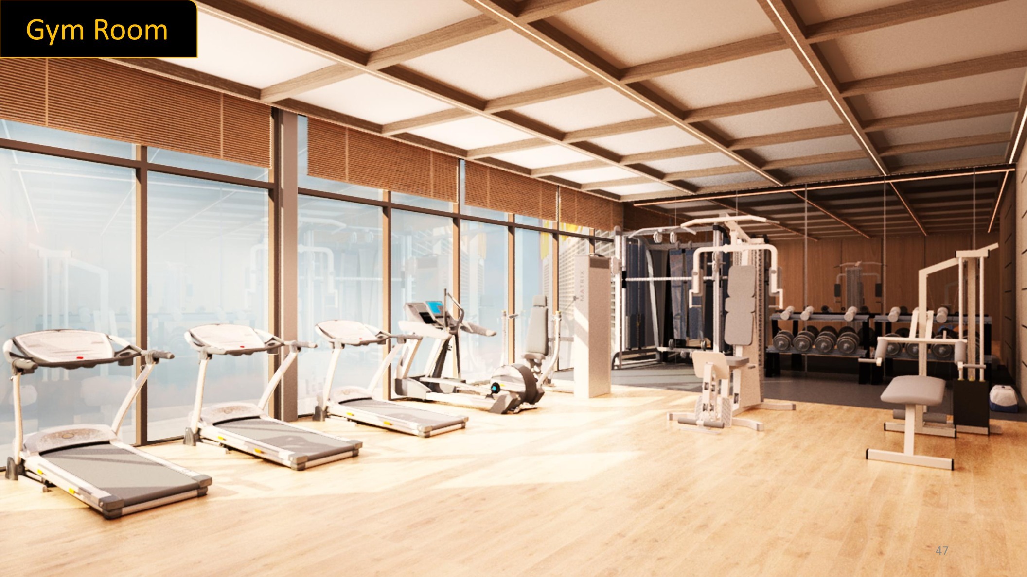 Golden Crown Residence indoor gym
